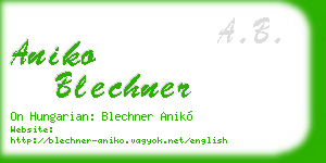 aniko blechner business card